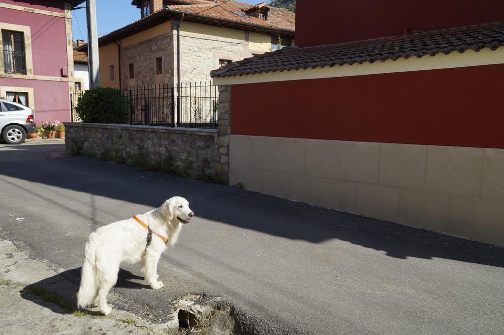 Casa De Aldea El Sol Villa Poo  Kültér fotó